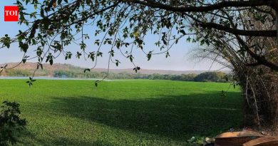 अपुऱ्या पाषाण एसटीपीमुळे चिंता वाढली, रहिवाशांचे म्हणणे आहे की अतिरिक्त सांडपाणी तलाव प्रदूषित करते