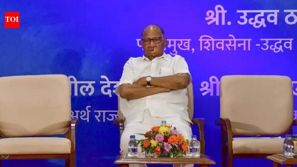 वारकऱ्यांपैकी जवळपास ६० टक्के लोक ‘धर्मांधांना’ मदत करण्यासाठी वक्तव्य करतात: पवार