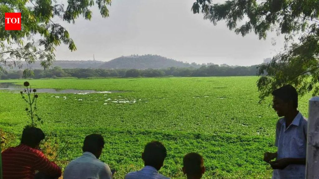 पाषाण तलावातील सांडपाण्यावर बाणेरमधील मोठ्या एसटीपीवर प्रक्रिया करण्यात येणार आहे