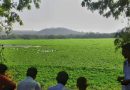 पाषाण तलावातील सांडपाण्यावर बाणेरमधील मोठ्या एसटीपीवर प्रक्रिया करण्यात येणार आहे
