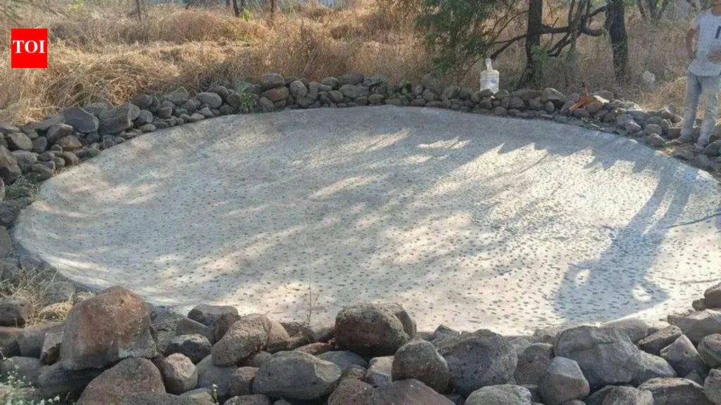 टँकर संपामुळे टेकडीवरील झाडांवर उष्णतेचा ताण वाढतो