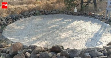 टँकर संपामुळे टेकडीवरील झाडांवर उष्णतेचा ताण वाढतो