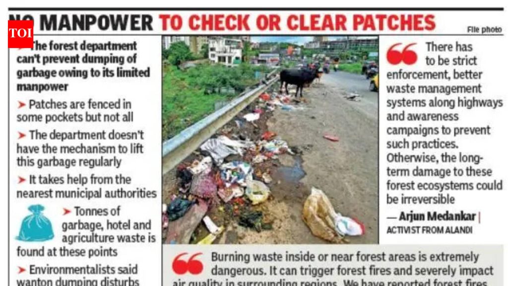 फॉरेस्ट पॅच डंपिंग ग्राउंड बनवतात, पर्यावरण आणि आगीची चिंता वाढवतात