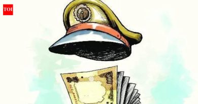 भाजी विक्रेता मॅच शोधण्यासाठी, आईला आनंद देण्यासाठी पोलिसांच्या नोकरीची कथा तयार करतो