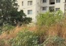महापालिकेच्या महापौरांनी नद्या प्रदूषित करणाऱ्या गृहनिर्माण सोसायट्यांची यादी ७ दिवसांत मागवली, अधिकाऱ्यांना अशा रहिवासी संकुलांवर कठोर कारवाई करण्यास सांगितले