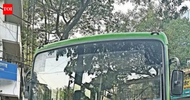 पीएमपीएमएलने तक्रार दिली तरच चालकावर कारवाई : पोलीस