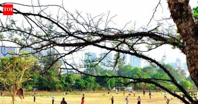 या लांब वीकेंडला उष्णतेवर मात करणे आवश्यक आहे परंतु मजा करणे, इच्छा संतुलित करणे आणि सावधगिरी बाळगणे आवश्यक आहे
