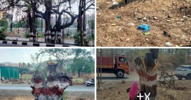 तळेगाव-चाकण-शिक्रापूर महामार्ग विस्तार: ४२०० कोटींचा विकास, मात्र शतकांतील वृक्षांचा विनाश