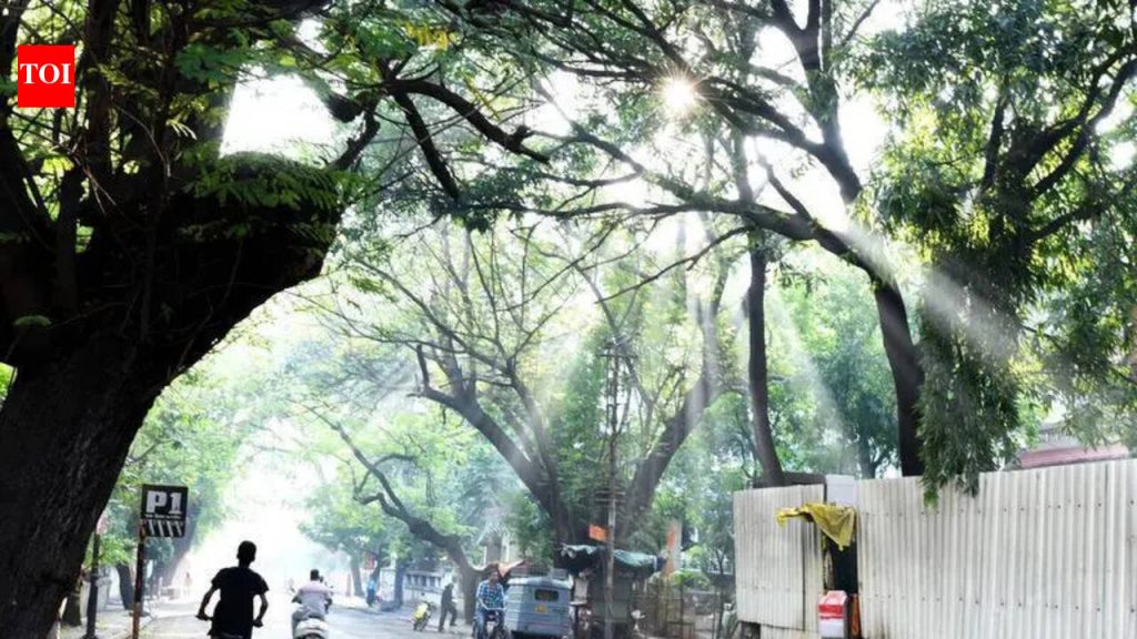 डेक्कनचे रहिवासी पाणी समस्या, अतिक्रमण, नागरी सभेत टाइमलाइनची मागणी करतात