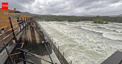 मे अखेरपर्यंत पाणीकपात नाही, मान्सूनचा अंदाज, धरणांचा साठा यावर पुढील निर्णयः पुण्याचे महापौर