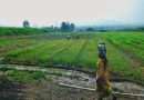 पुरंदर विमानतळ रस्ता जोडणीसाठी निधी गेल्या वर्षीच्या अर्थसंकल्पात मंजूर : PMRDA पुरंदर विमानतळ रस्ता जोडणीसाठी निधी गेल्या वर्षीच्या अर्थसंकल्पात मंजूर : PMRDA