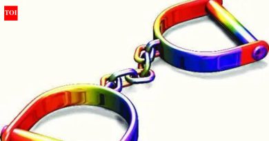 जुन्नरमध्ये एका व्यक्तीने मुलीची (३.५) हत्या, मुलगा सोडून दिला; आयोजित