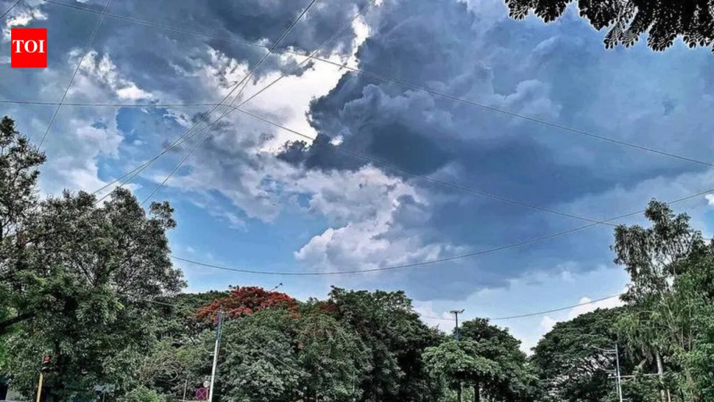 तापमान वाढल्याने डॉक्सना डोळा, किडनी आणि आतड्यांच्या आजारांमध्ये वाढ होत असल्याचे दिसते पुणे बातम्या