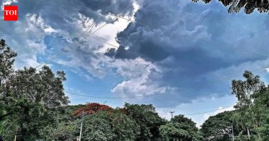 तापमान वाढल्याने डॉक्सना डोळा, किडनी आणि आतड्यांच्या आजारांमध्ये वाढ होत असल्याचे दिसते पुणे बातम्या