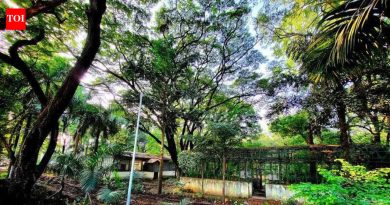 पार्थ पवार यांच्या फर्म अमाडियाने 1% दंडासह 21 कोटी रुपये मुद्रांक शुल्क भरावे, राज्य महसूल प्राधिकरणाचे नियम