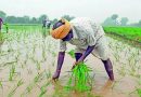 पुण्याच्या आयआयटीएममध्ये एआय-चालित मान्सून अंदाज प्रणाली विकसित करण्यात आली असून, शेतकऱ्यांना चार आठवड्यांची मदत करण्याचे आश्वासन दिले आहे.
