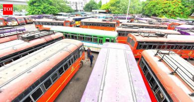 इंधनाचे दर वाढल्याने सार्वजनिक वाहतूक महाग होऊ शकते