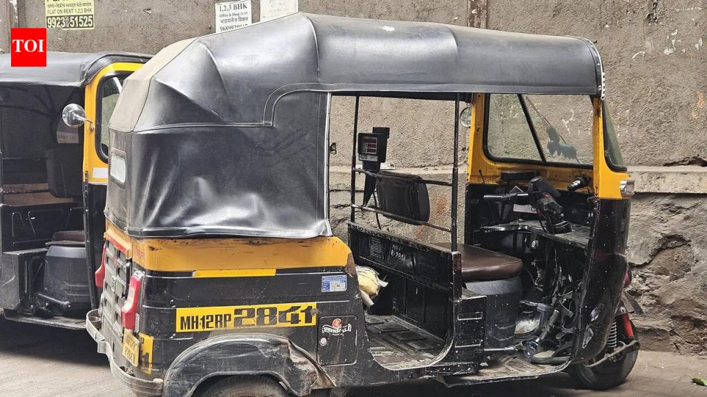 वनराज हत्येतील संशयिताच्या भावावर हल्ला केल्याप्रकरणी पाच जण ताब्यात, अल्पवयीन ताब्यात