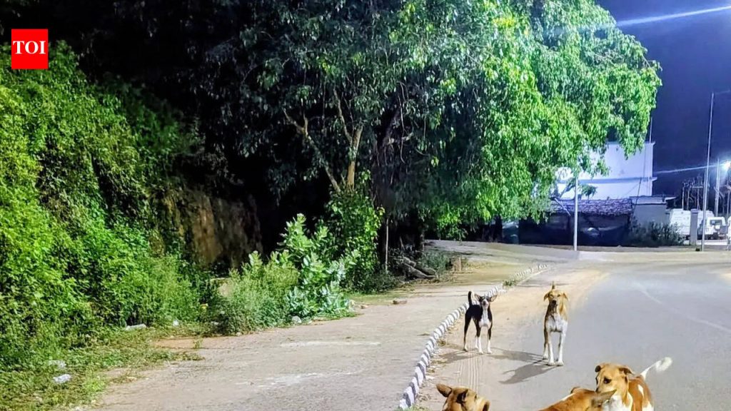 PMC भटक्या कुत्र्यांच्या गणनेची योजना आखत आहे, कुत्र्यांची जास्त लोकसंख्या असलेल्या ठिकाणांचे सर्वेक्षण करण्यासाठी