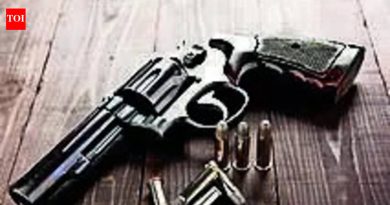 रावेत येथील फर्निचर मॉलमध्ये गोळीबार केल्याप्रकरणी बिष्णोई टोळीशी संबंधित तीन आरोपींना 28 मे पर्यंत पोलीस कोठडी सुनावण्यात आली आहे.