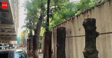 सामान्य चिंता पर्यावरणीय गटांना एका छत्राखाली आणतात
