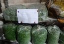 FDA ने 16 टन गूळ, 20 टन साखर भेसळीसाठी आणि 68 किलो तळलेले हिरवे वाटाणे कृत्रिम रंगाने जप्त केले.