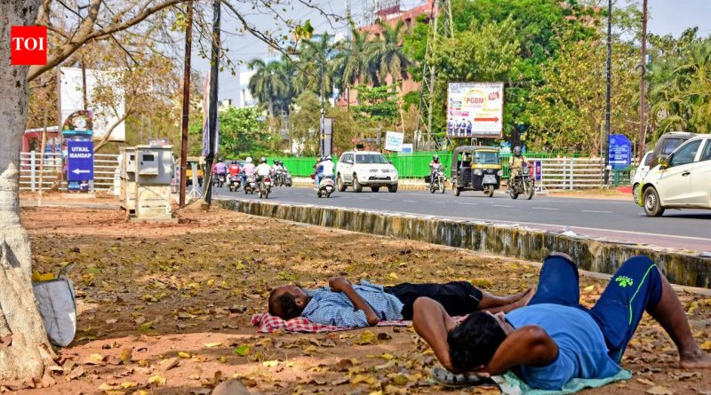 या उन्हाळ्यात महाराष्ट्रात उष्माघाताचे २९२ रुग्ण, २१ मृत्यू