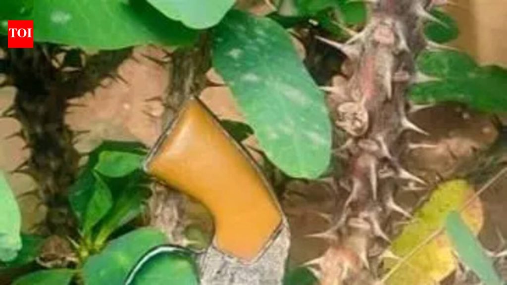 वाहतूक चालकांमध्ये हाणामारीनंतर पाटसमध्ये तणाव; एकाने गोळीबार केला | पुणे बातम्या