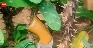 वाहतूक चालकांमध्ये हाणामारीनंतर पाटसमध्ये तणाव; एकाने गोळीबार केला | पुणे बातम्या