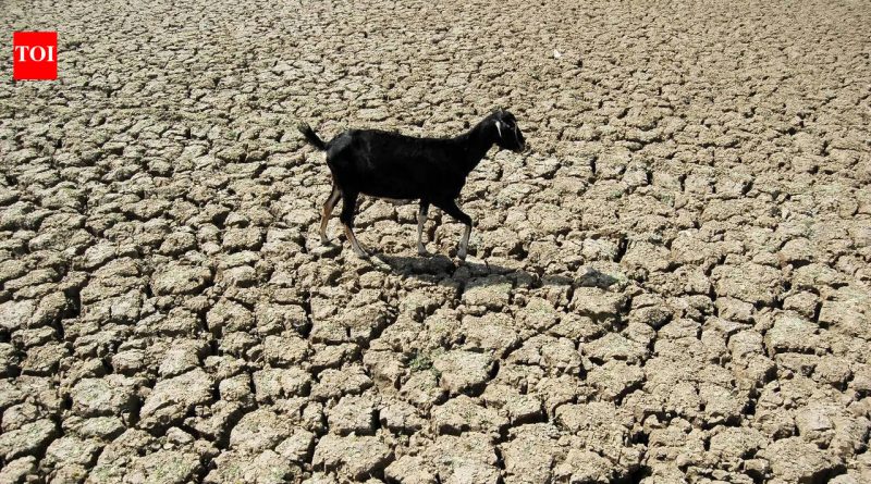 खरीप हंगामात एल निनोचा धोका वाढल्याने 181 महा ब्लॉक्स कृषी तणावासाठी अत्यंत असुरक्षित आहेत