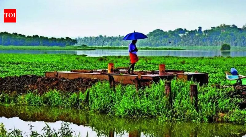 मान्सूनने महाराष्ट्राचे दार ठोठावले आहे, परंतु कोरड्या हवेच्या ड्रॅगने देशांतर्गत कूच करण्याचा धोका आहे