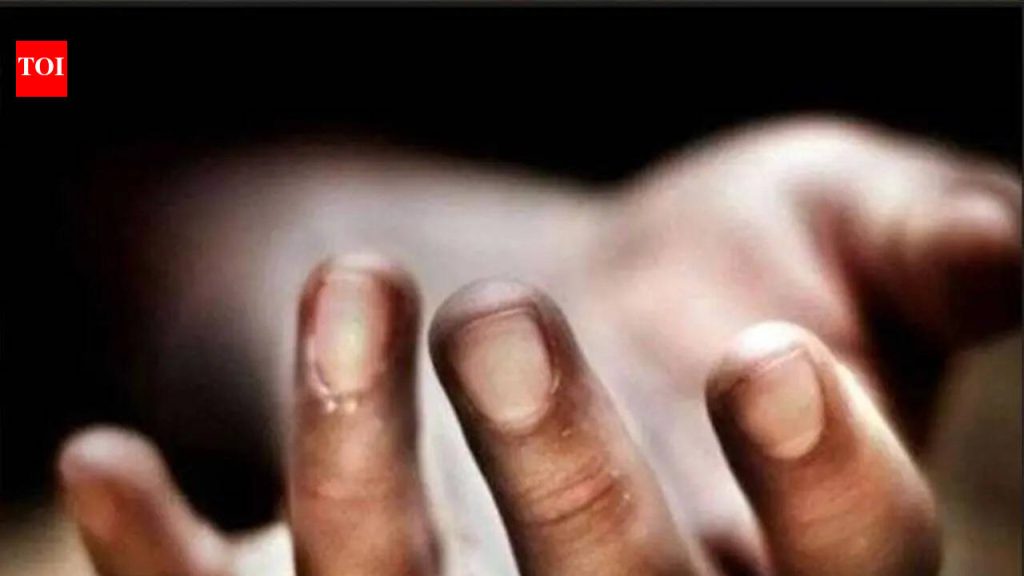 पुण्यातील तळेगाव एमआयडीसी युनिटमध्ये देखभालीदरम्यान CO₂ लीक झाल्याने दोघांचा मृत्यू, 3 जखमी