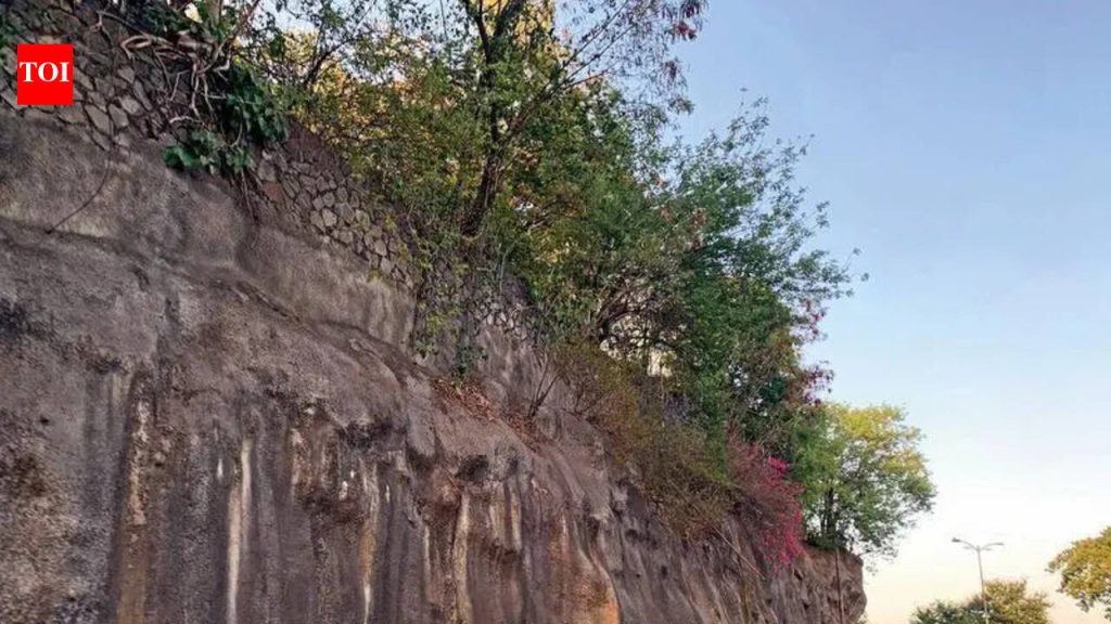 महत्त्वाच्या येरवडा जंक्शनवर उड्डाणपूल, ग्रेड सेपरेटरच्या प्रस्तावात प्रथम झाडे
