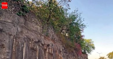 महत्त्वाच्या येरवडा जंक्शनवर उड्डाणपूल, ग्रेड सेपरेटरच्या प्रस्तावात प्रथम झाडे