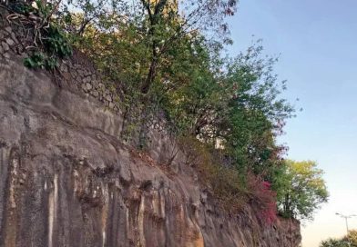 महत्त्वाच्या येरवडा जंक्शनवर उड्डाणपूल, ग्रेड सेपरेटरच्या प्रस्तावात प्रथम झाडे महत्त्वाच्या येरवडा जंक्शनवर उड्डाणपूल, ग्रेड सेपरेटरच्या प्रस्तावात प्रथम झाडे