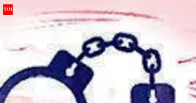 डिलिव्हरी करणाऱ्याला रोख व मोबाईल लुटणाऱ्या दोघांना अटक