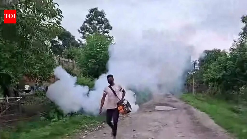 महाआरोग्य विभाग पावसाळ्यात पाणी आणि जीवाणूजन्य रोगांचा सामना करण्यासाठी सज्ज | पुणे बातम्या