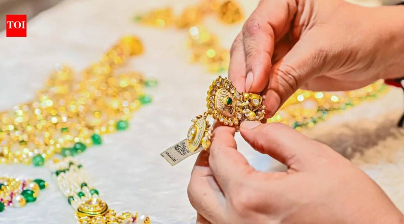बाणेरमध्ये चेन स्नॅचर पकडला; 15 लाखांचे सोन्याचे दागिने जप्त
