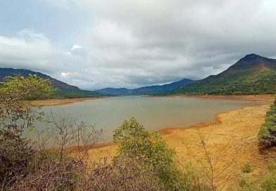 PMC मुळशी धरणातून प्रस्तावित पाणीपुरवठ्याच्या वापरासाठी क्षेत्रनिहाय वेळापत्रक निश्चित करेल