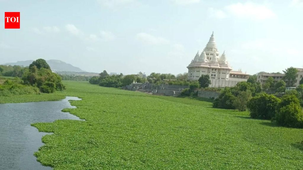 आषाढी वारीपूर्वी देहूजवळील इंद्रायणी नदीत मृत मासे आढळल्याने प्रदूषणाची चिंता वाढली आहे.