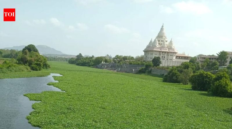 आषाढी वारीपूर्वी देहूजवळील इंद्रायणी नदीत मृत मासे आढळल्याने प्रदूषणाची चिंता वाढली आहे. आषाढी वारीपूर्वी देहूजवळील इंद्रायणी नदीत मृत मासे आढळल्याने प्रदूषणाची चिंता वाढली आहे.