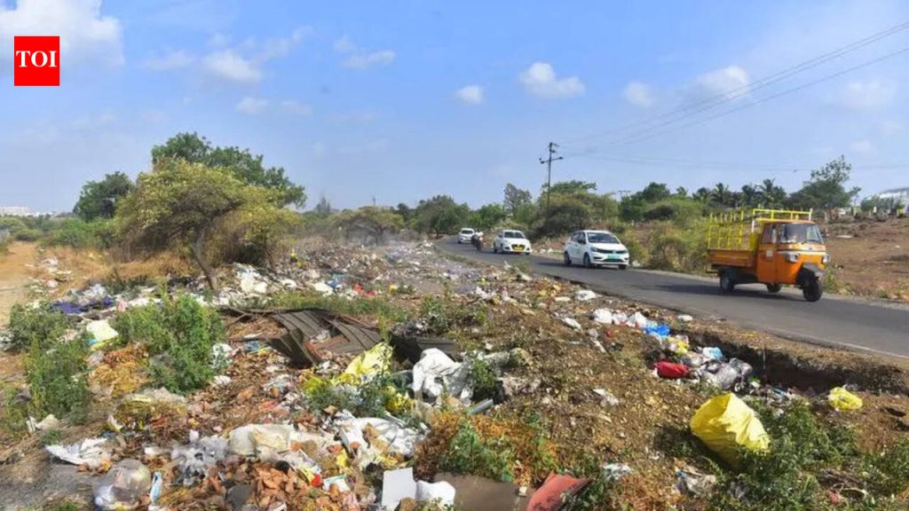 लोहेगावमध्ये कचऱ्याचे ढीग कोठेही जात नसल्याने पक्ष्यांच्या संपाचा धोका कायम आहे पुणे बातम्या