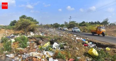 लोहेगावमध्ये कचऱ्याचे ढीग कोठेही जात नसल्याने पक्ष्यांच्या संपाचा धोका कायम आहे पुणे बातम्या