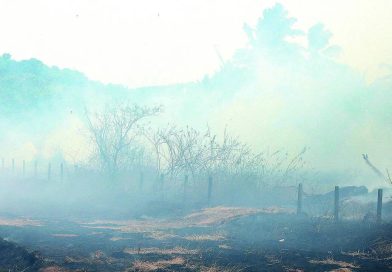देहू रोड येथील आयुध निर्माणीच्या प्रूफ रेंजमध्ये दारूगोळा चाचणीत आग लागली | पुणे बातम्या देहू रोड येथील आयुध निर्माणीच्या प्रूफ रेंजमध्ये दारूगोळा चाचणीत आग लागली | पुणे बातम्या