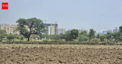 उशिरा मान्सूनमुळे पुणे जिल्ह्यातील कडधान्य पेरणी धोक्यात आली आहे