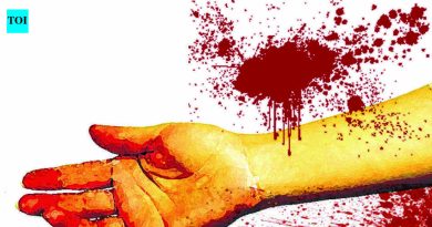 रांजणगावजवळ लिव्ह-इन पार्टनरच्या ३ वर्षाच्या मुलाला बेदम मारहाण करणाऱ्या व्यक्तीला अटक