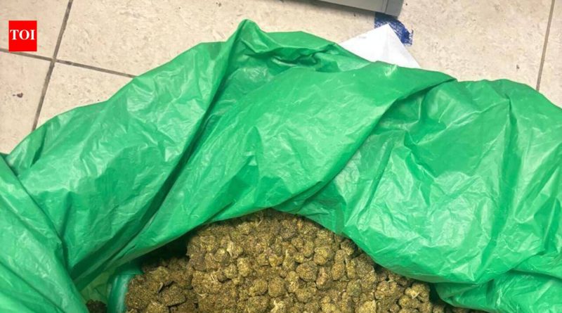 चाकणमध्ये पोलिसांनी 84 किलो गांजा जप्त, दोघांना अटक | पुणे बातम्या चाकणमध्ये पोलिसांनी 84 किलो गांजा जप्त, दोघांना अटक | पुणे बातम्या
