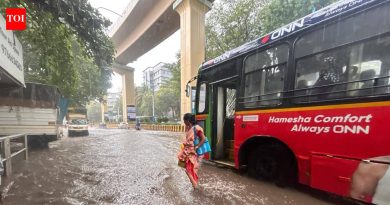विलंबाने, पण मान्सूनपूर्व सरी रहिवाशांना दिलासा आणि आशा देतात विलंबाने, पण मान्सूनपूर्व सरी रहिवाशांना दिलासा आणि आशा देतात
