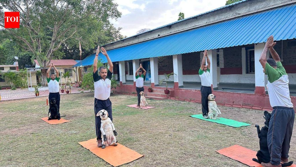 एनडीए कॅडेट्स, लष्करी कर्मचारी आणि त्यांचे कुटुंबीय आणि लष्कराचे कुत्रे पुण्यात आंतरराष्ट्रीय योग दिन साजरा करतात