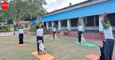 एनडीए कॅडेट्स, लष्करी कर्मचारी आणि त्यांचे कुटुंबीय आणि लष्कराचे कुत्रे पुण्यात आंतरराष्ट्रीय योग दिन साजरा करतात